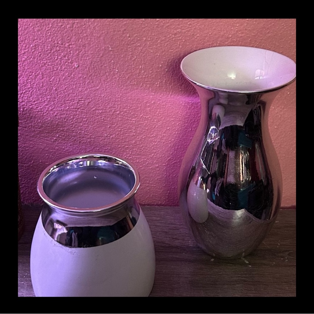 EDIBLE VASE-VINTAGE VASE